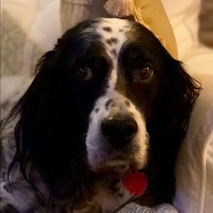 Meet your Posher, Anny